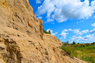 dağlarda ağaçlar ve kaya 'yuvaları kırlangıçlar