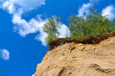  dağlarda ağaçlar ve kaya 'yuvaları kırlangıçlar