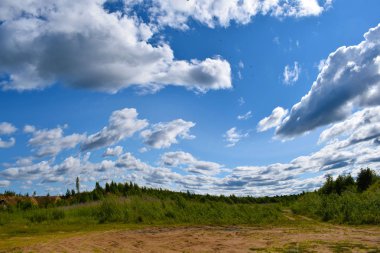 ağaçlarla dağların üzerinde bulutlar