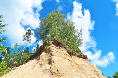  dağlarda ağaçlar ve kaya 'yuvaları kırlangıçlar