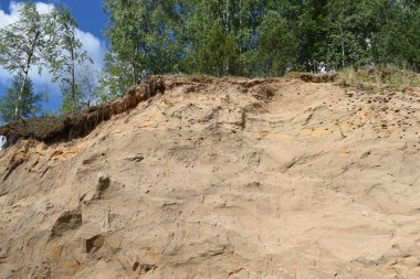  dağlarda ağaçlar ve kaya 'yuvaları kırlangıçlar