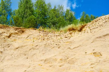  dağlarda ağaçlar ve kaya 'yuvaları kırlangıçlar