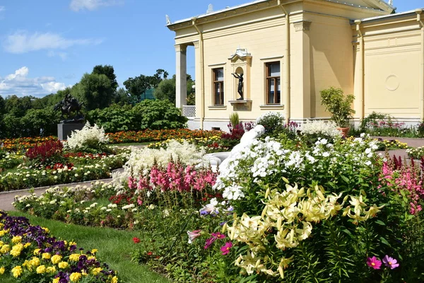 Парк Дизайн Парковой Зоны Летний День — стоковое фото