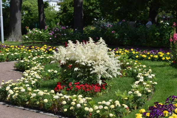 stock image decoration of the park with flowers, a place to relax, a summer day