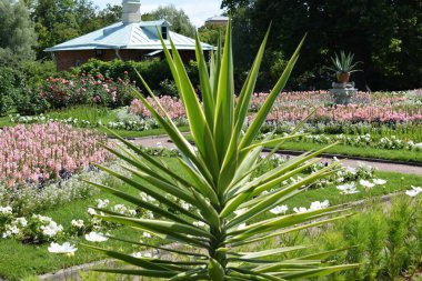 yataklarda çiçekler, Park yolu