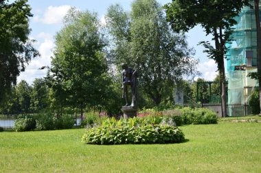 yaz bahçesinde çiçek ve çiçek yatakları