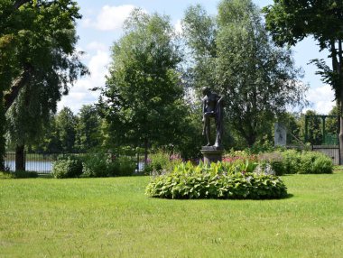 yaz bahçesinde çiçek ve çiçek yatakları