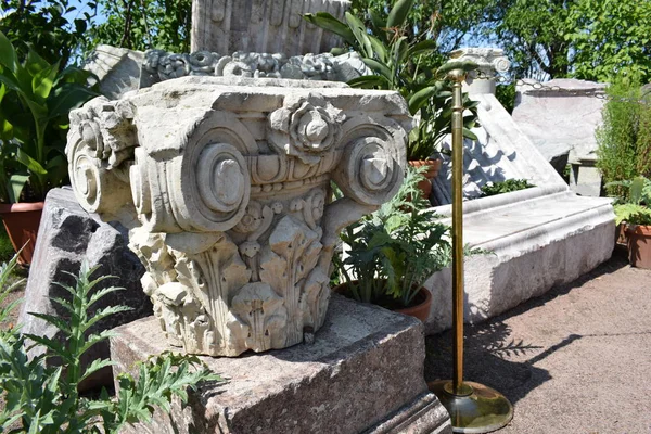 Flores Jardim Elementos Edifício Destruído Ruínas — Fotografia de Stock