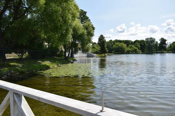 Holzbrücke Sommerpark — Stockfoto