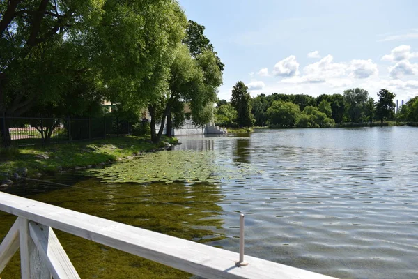 Lago Parque Con Cultivo Nenúfares Superficie Del Agua — Foto de Stock