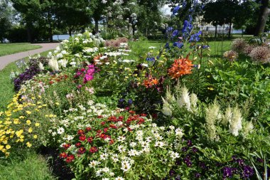 bahçede çiçek yatakları üzerinde çiçekler, bahçe peyzaj tasarımı