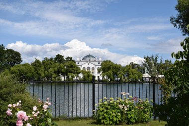 bahçede çiçek yatakları üzerinde çiçekler, bahçe peyzaj tasarımı