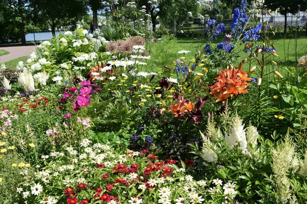 Fleurs Sur Les Parterres Fleurs Dans Jardin Aménagement Paysager Jardin — Photo