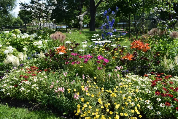 Fleurs Sur Les Parterres Fleurs Dans Jardin Aménagement Paysager Jardin — Photo