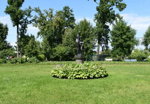 Bloemen Bloemperken Tuin Landschapsontwerp Van Tuin — Stockfoto