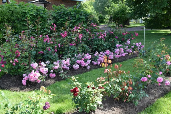 flowers on flower beds in the garden, landscape design of the garden