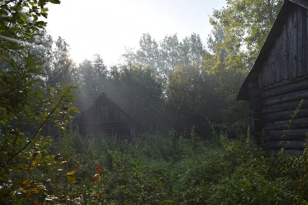 Oud Houten Huis Het Bos — Stockfoto