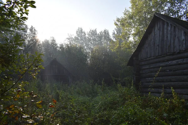 Starý Dřevěný Dům Lese — Stock fotografie