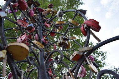 demir kilitleri ile ağaç severler-sevgi ve sadakat bir işareti