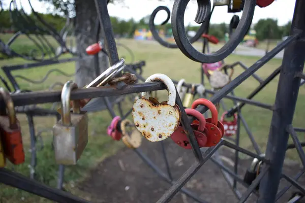 Miłośnicy Drzew Żelaznymi Zamkami Znak Miłości Lojalności — Zdjęcie stockowe