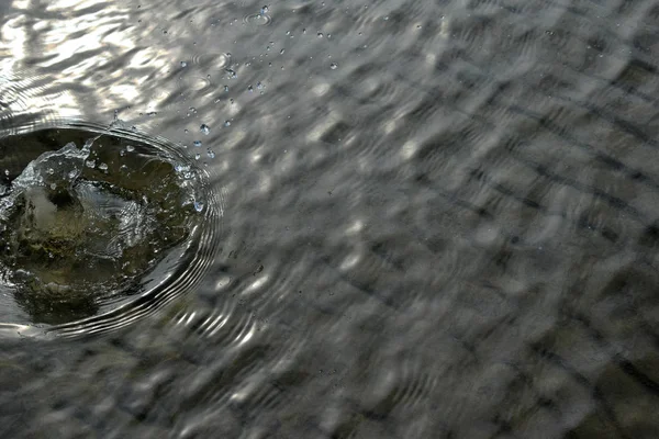 the ripples from a stone thrown