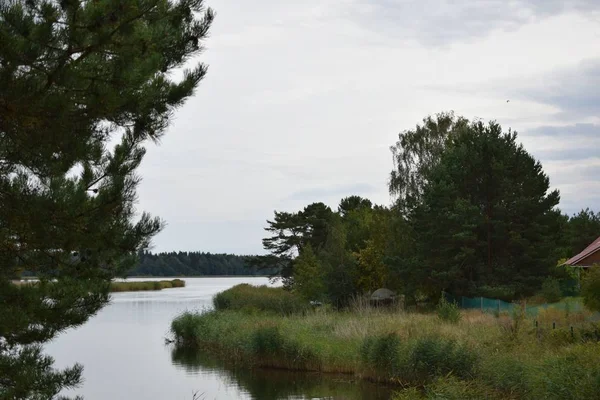 Lago Parque Con Árboles Orilla — Foto de Stock