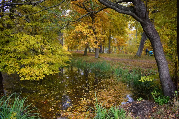 Paisaje Otoñal Con Lago Árboles — Foto de Stock