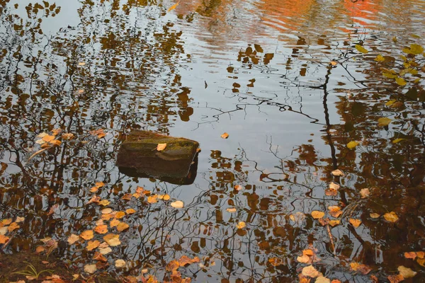 Herbstlandschaft Mit See Und Bäumen — Stockfoto