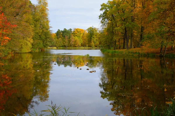 Höst Landskap Med Sjö Och Träd — Stockfoto