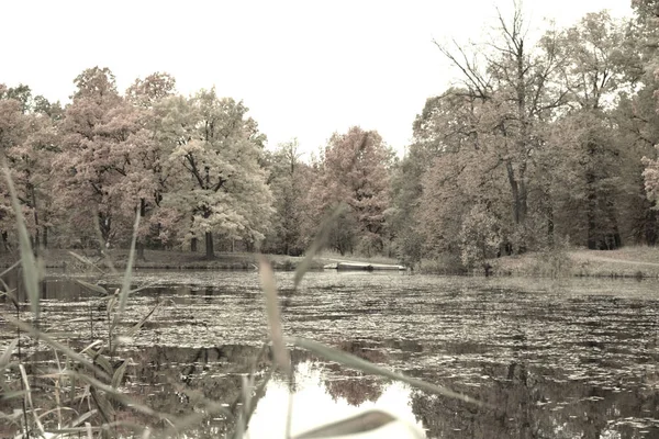 Herbstlandschaft Mit See Und Bäumen — Stockfoto