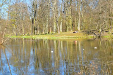 park, a place for recreation and walking