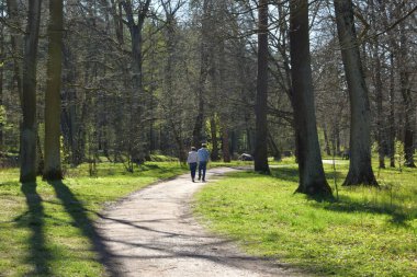 park, a place for recreation and walking