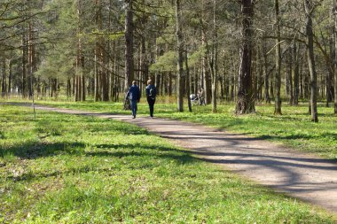 park, a place for recreation and walking