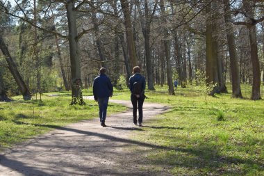 park, a place for recreation and walking