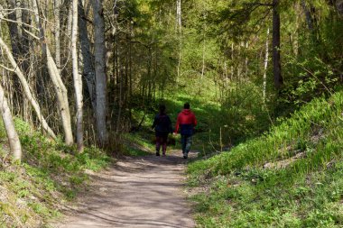 park, a place for recreation and walking