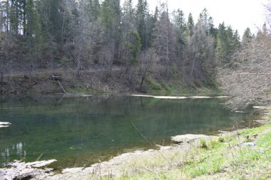 Ormandaki radon gölü