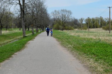 a walking park with water channels and ponds