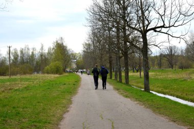 a walking park with water channels and ponds