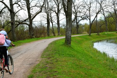 a walking park with water channels and ponds