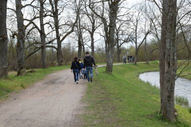 a walking park with water channels and ponds