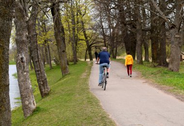 a walking park with water channels and ponds