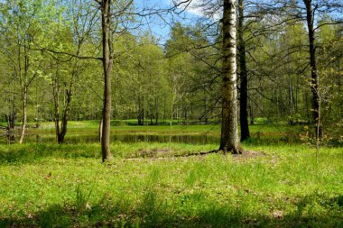 Yürümek için park et, boş bir yer bul.