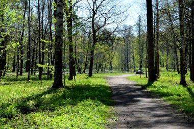 Yürümek için park et, boş bir yer bul.
