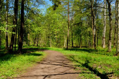 Yürümek için park et, boş bir yer bul.