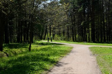 Yaz parkında yürüyüş, aktif eğlence