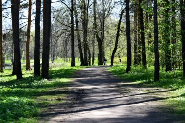 Yürümek için park et, boş bir yer bul.