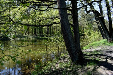 Yürümek için park et, boş bir yer bul.