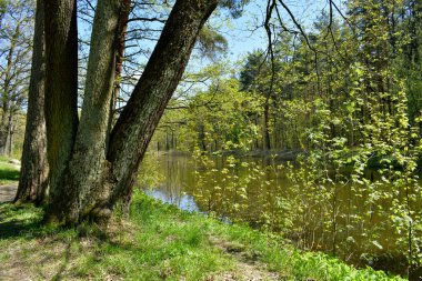 Yürümek için park et, boş bir yer bul.
