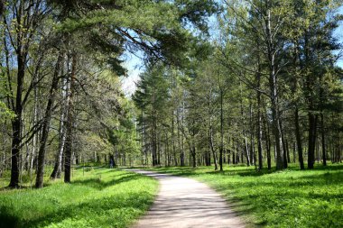Yürümek için park et, boş bir yer bul.