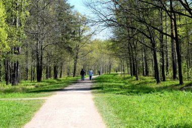 Yaz parkında yürüyüş, aktif eğlence
